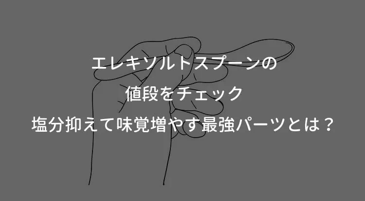 エレキソルトスプーンの値段をチェック！塩分抑えて味覚増やす最強パーツとは？