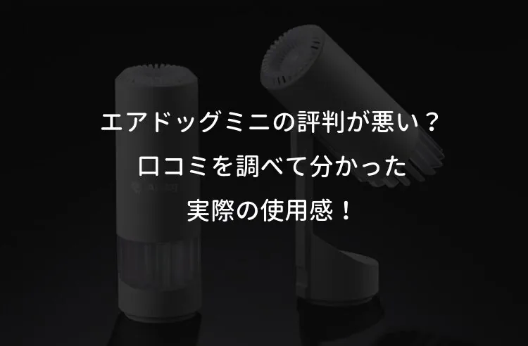 エアドッグミニの評判が悪い？口コミを調べて分かった実際の使用感！