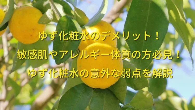 ゆず化粧水のデメリット！敏感肌やアレルギー体質の方必見！ゆず化粧水の意外な弱点を解説